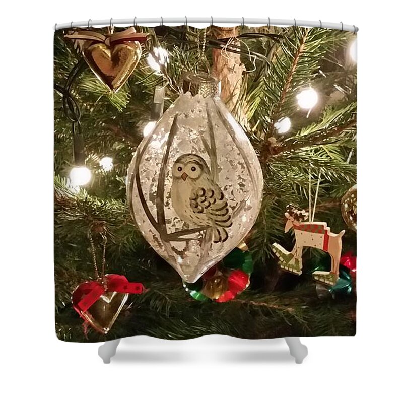 Inspiration Shower Curtain featuring the photograph Christmas Owl Roost by Rowena Tutty