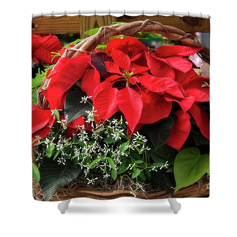Christmas Shower Curtain featuring the photograph Christmas Poinsettia Basket by Jill Lang