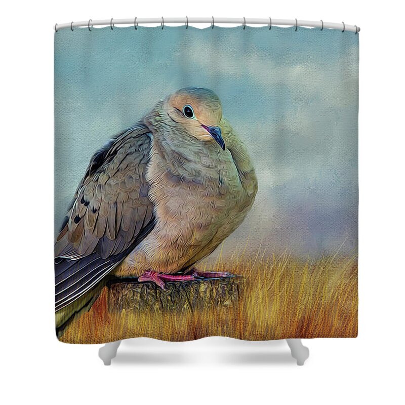 Dove Shower Curtain featuring the photograph Chubby Dove by Cathy Kovarik