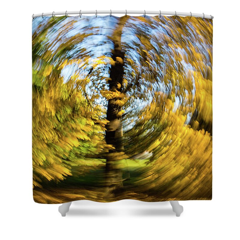  Shower Curtain featuring the photograph Circle by Mache Del Campo
