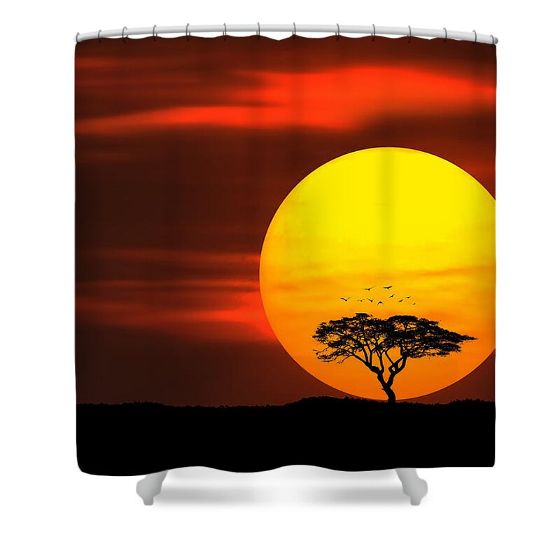 Sunlight Shower Curtain featuring the photograph Circle of life by Bess Hamiti