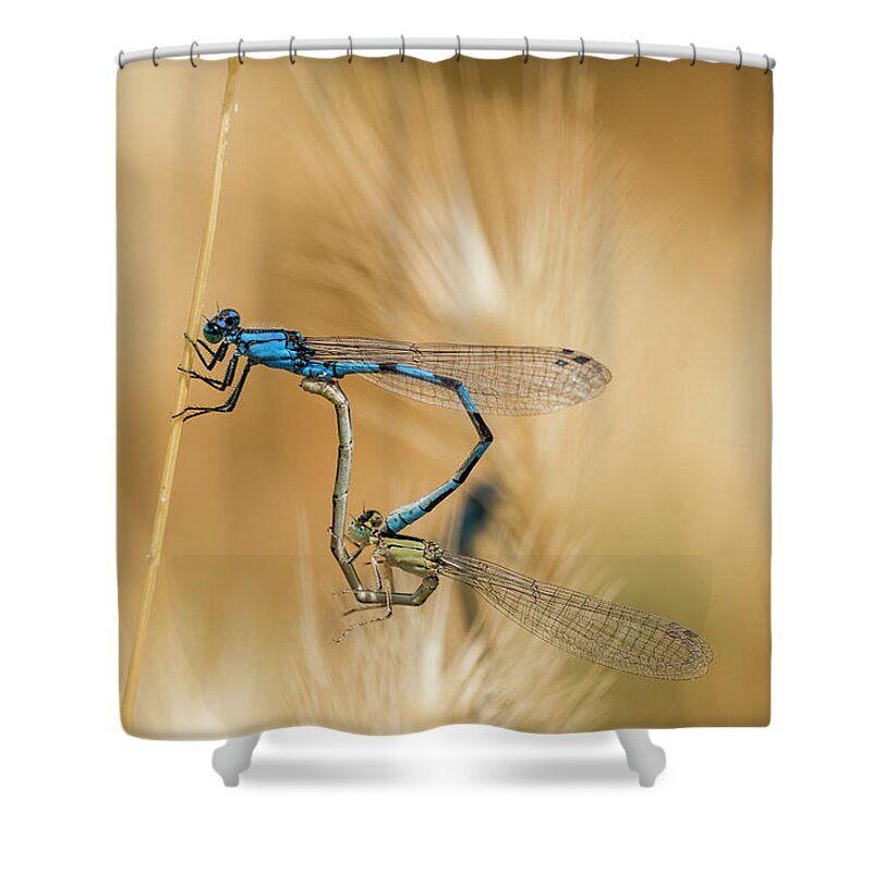 Animals Shower Curtain featuring the photograph Circle of Life by Robert Potts