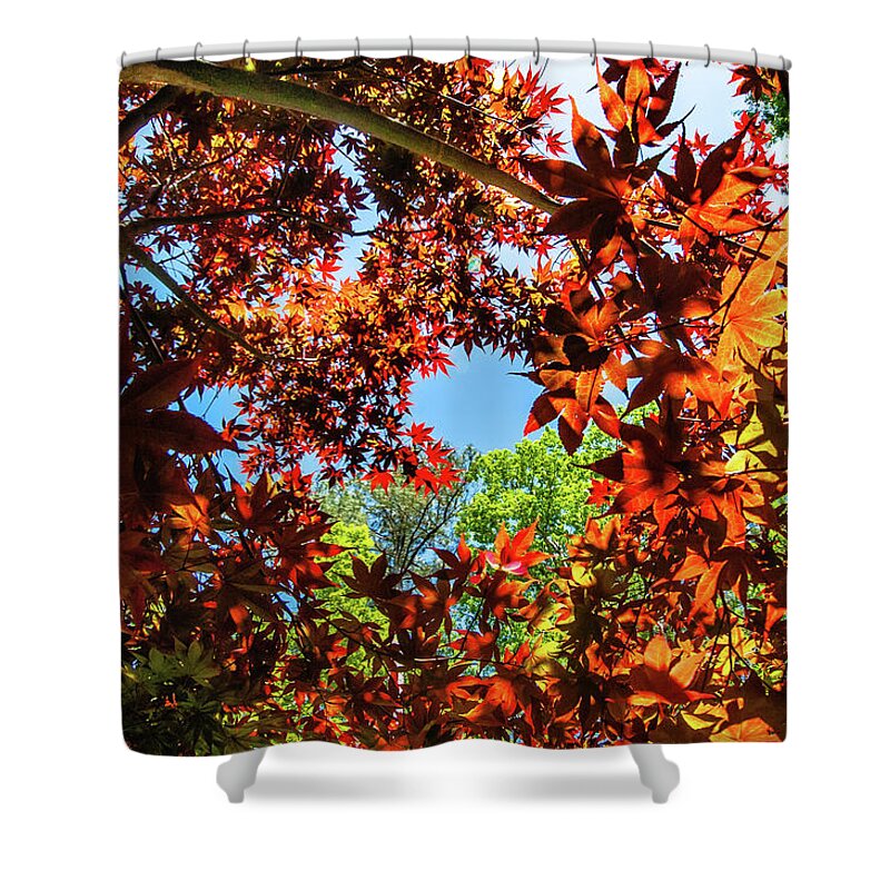 North Carolina Shower Curtain featuring the photograph Circle of Spring by Jim Moore