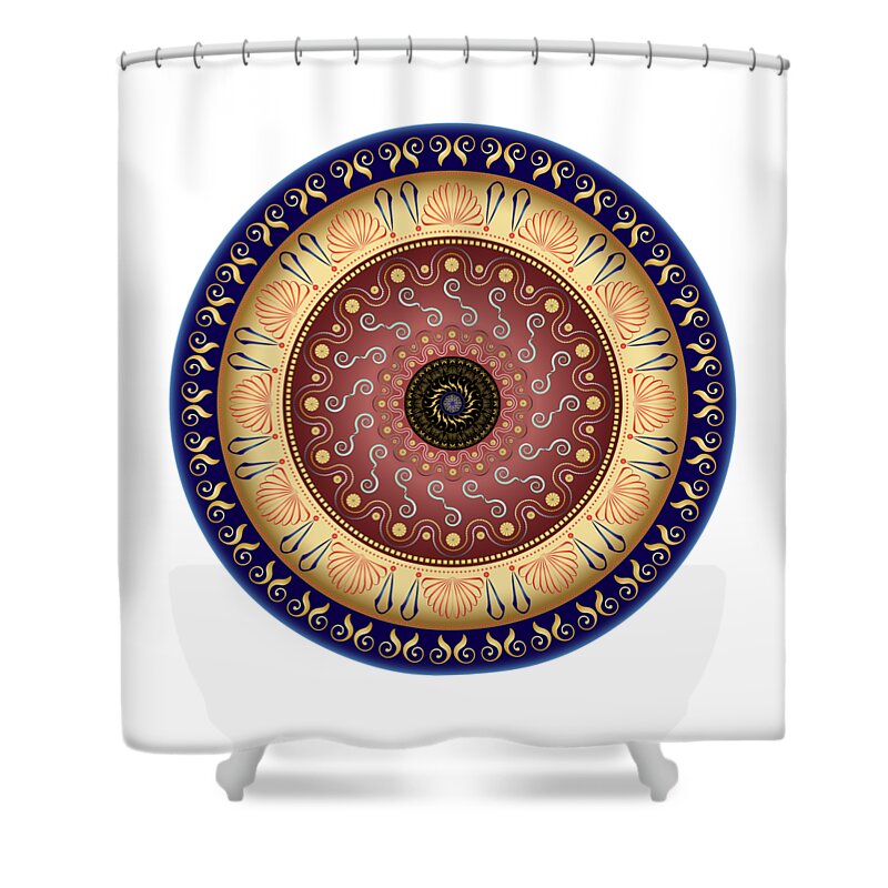 Mandala Shower Curtain featuring the digital art Circularium No 2647 by Alan Bennington