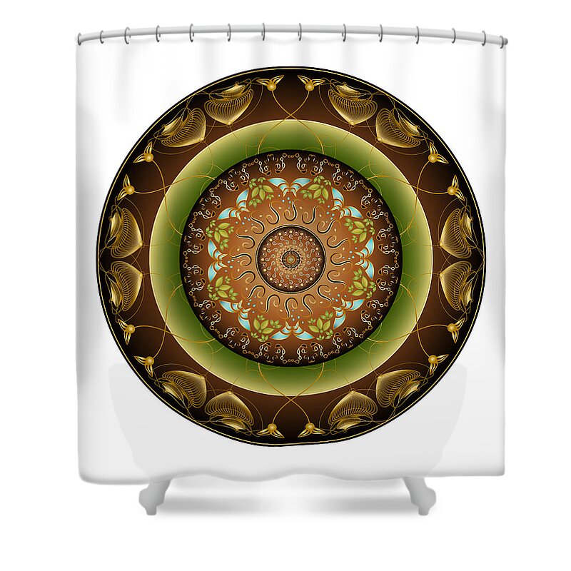 Mandala Shower Curtain featuring the digital art Circularium No 2715 by Alan Bennington