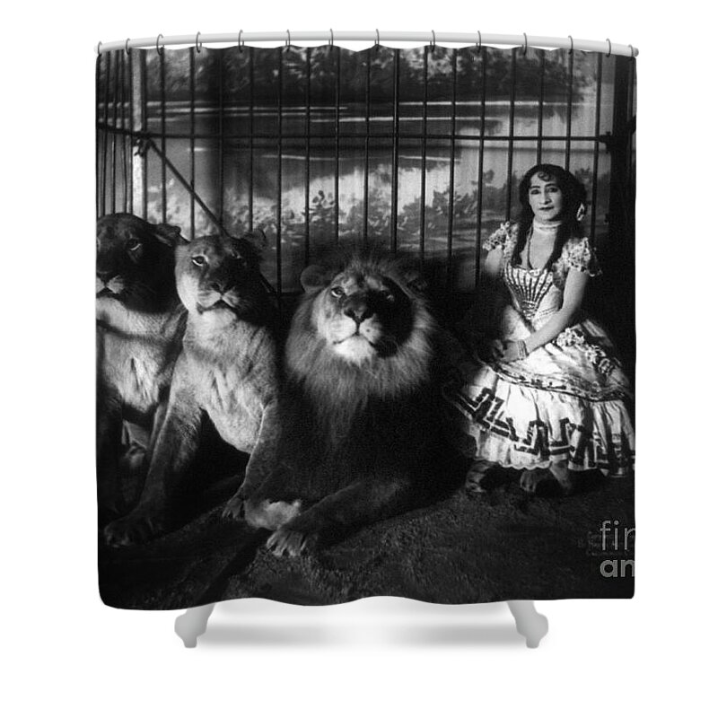 1899 Shower Curtain featuring the photograph CIRCUS, LION TAMER, c1899. by Granger