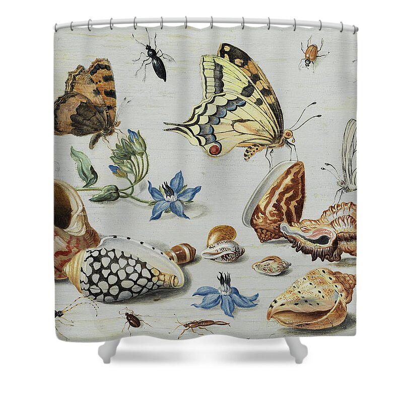 Jan Shower Curtain featuring the painting Clams, Butterflies, Flowers and Insects by Jan van Kessel
