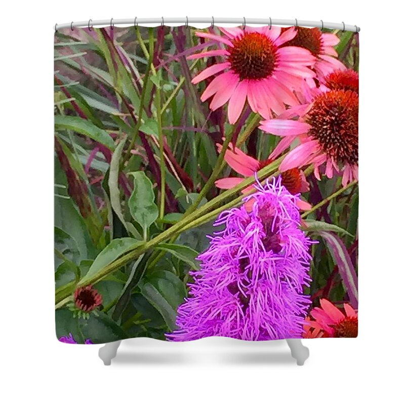 Colorful Shower Curtain featuring the photograph Clash of the Titans by Beth Saffer