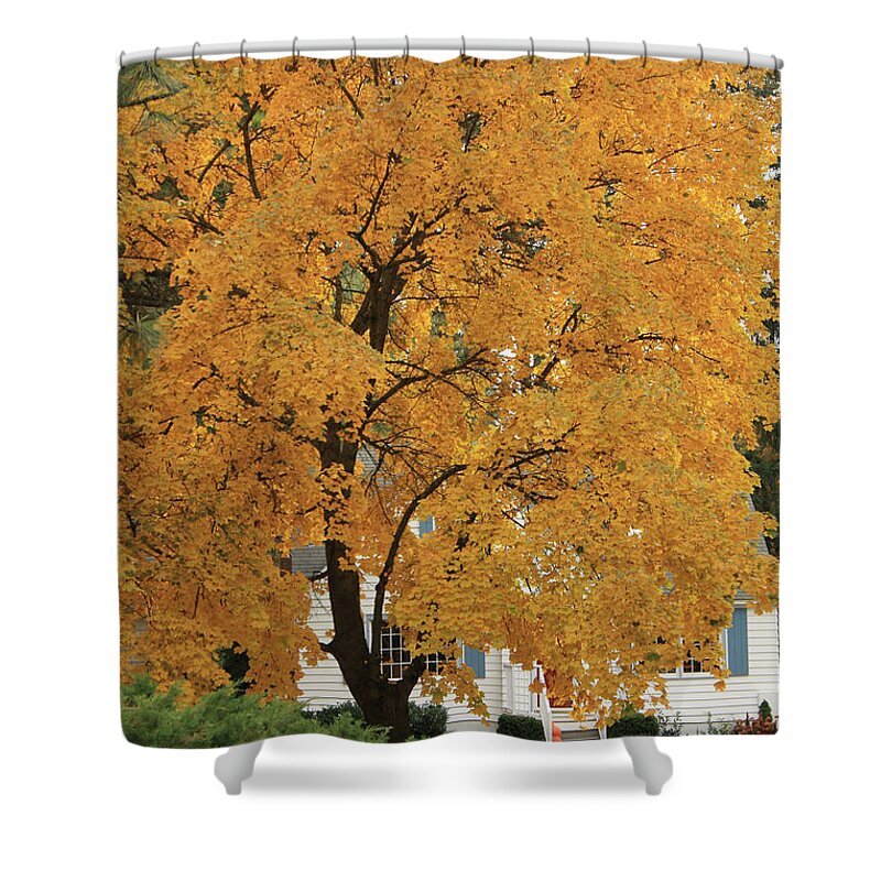 Autumn Shower Curtain featuring the photograph Classic Autumn Scene by Carol Groenen