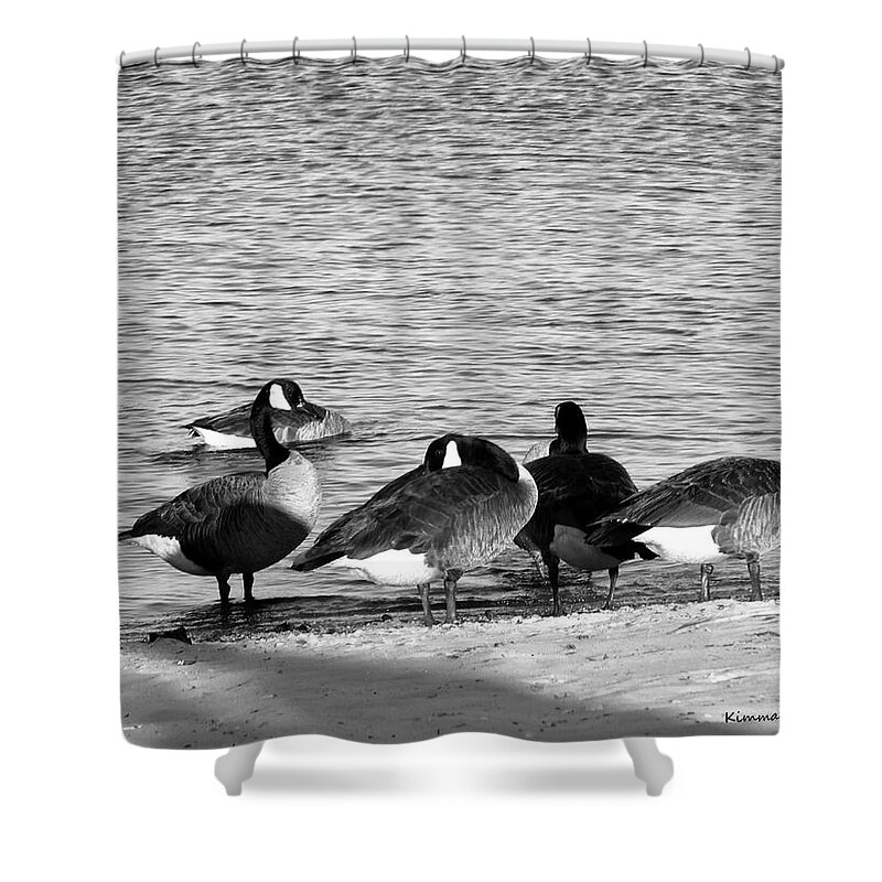 Geese Shower Curtain featuring the photograph Classic Geese by Kimmary MacLean