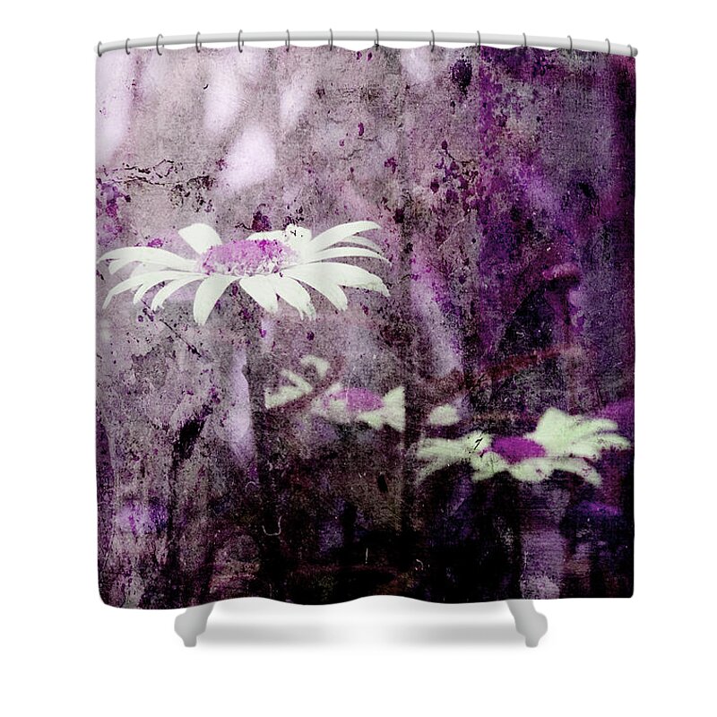 Daisy Shower Curtain featuring the photograph Classical Daisy by Michael Eingle