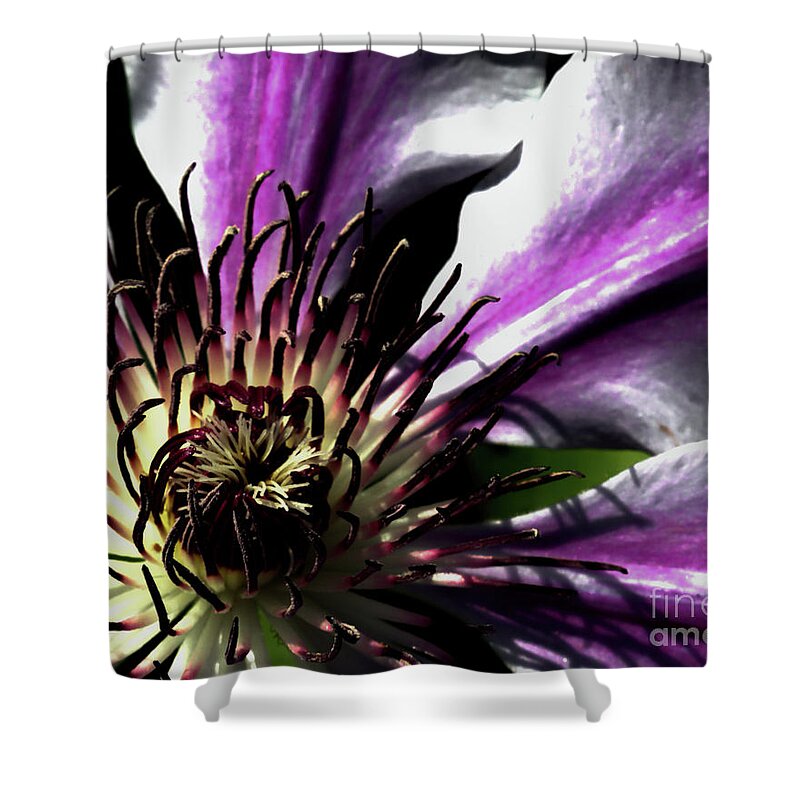 Macro Shower Curtain featuring the photograph Classy Nelly by Stephen Melia