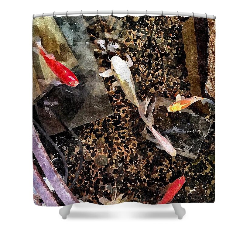 Koi Shower Curtain featuring the photograph Clear As Koi by Brad Hodges