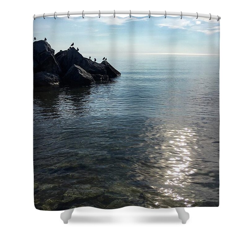 Lake Shower Curtain featuring the photograph Clear Lake by Terri Hart-Ellis