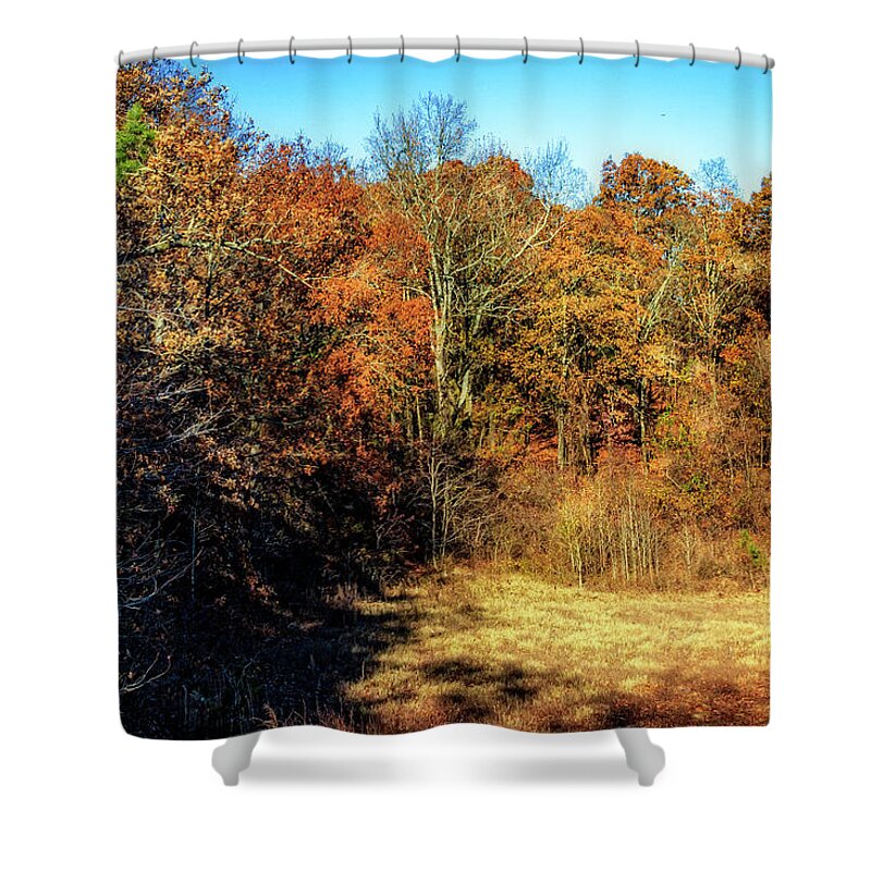 Clearing Shower Curtain featuring the photograph Clearing in the Woods by Barry Jones