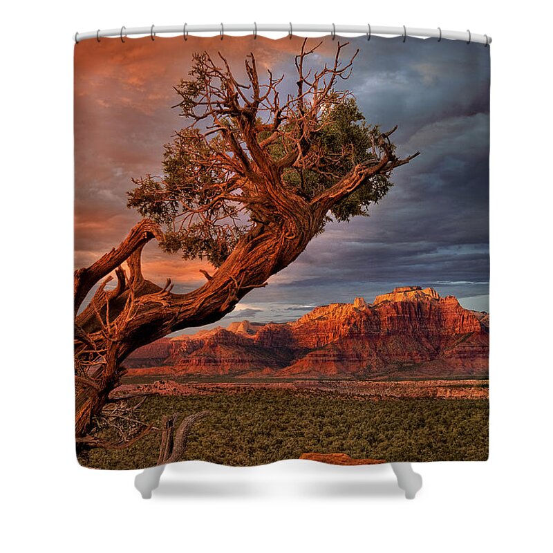 Dave Welling Shower Curtain featuring the photograph Clearing Storm And West Temple South Of Zion National Park by Dave Welling