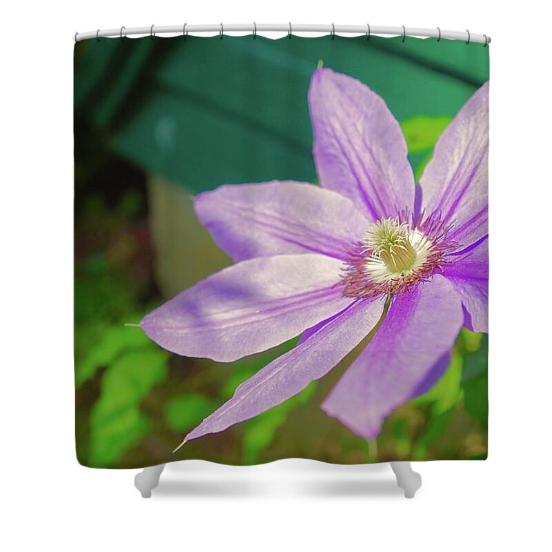 American Gardens Shower Curtain featuring the photograph Clematis Flower Chanticleer by Blair Seitz