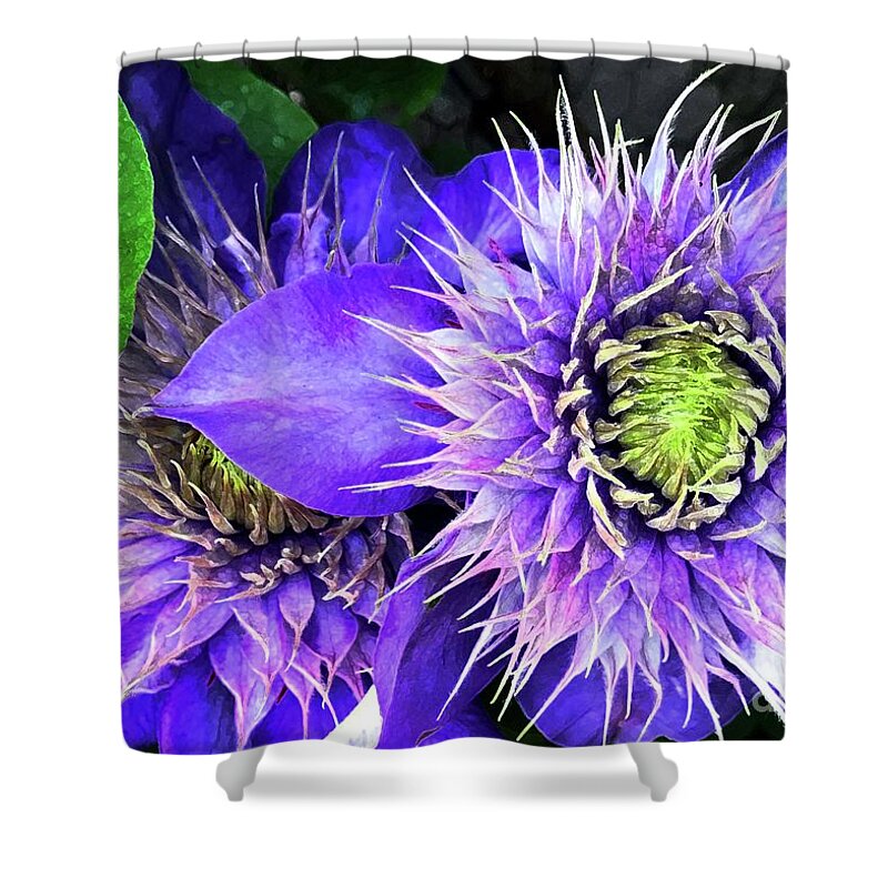 Clematis Shower Curtain featuring the photograph Clematis Multi Blue by Barbie Corbett-Newmin