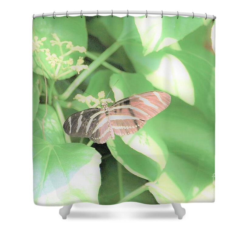 Cleveland Ohio Butterfly Shower Curtain featuring the photograph Cleveland Butterflies4 by Merle Grenz