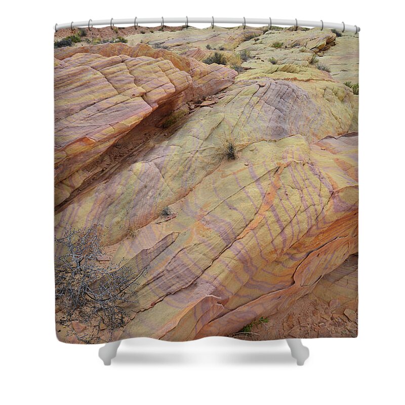 Valley Of Fire State Park Shower Curtain featuring the photograph Cliffs of Color in Valley of Fire by Ray Mathis