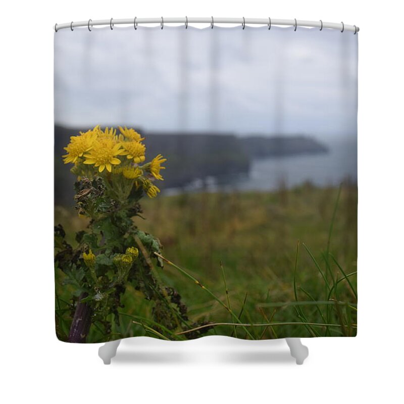 Ireland Shower Curtain featuring the photograph Cliffs of Moher Wildflowers by Curtis Krusie