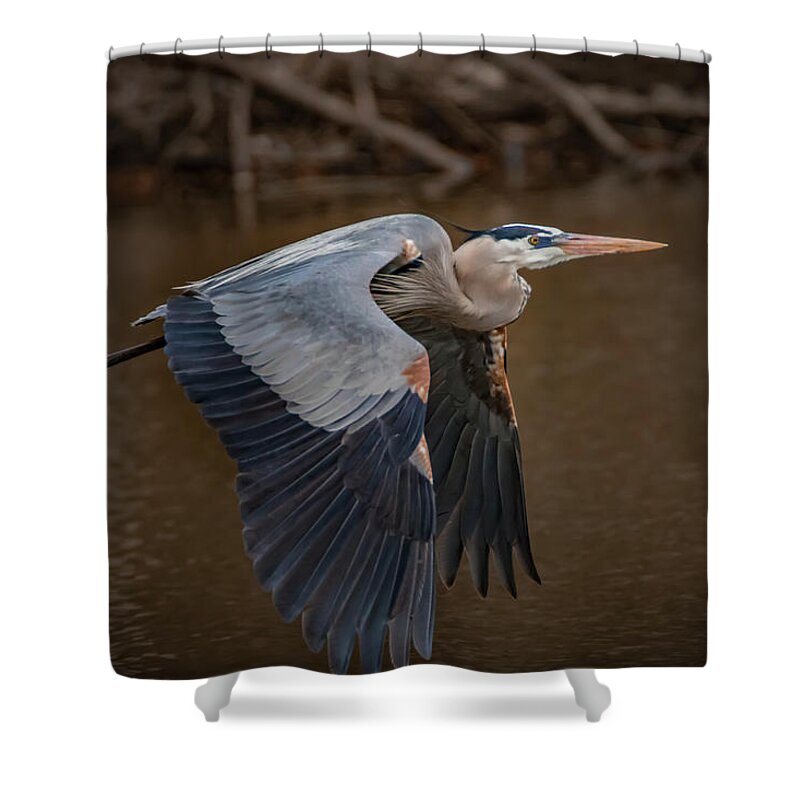 Great Blue Heron Shower Curtain featuring the photograph Close Flight by Ray Congrove