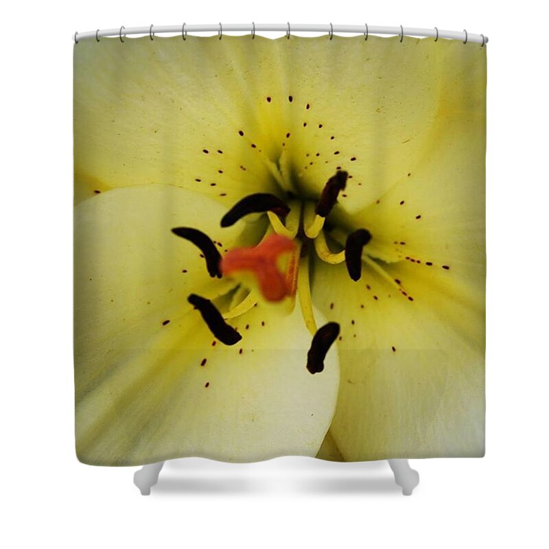 Wildlifephotography Shower Curtain featuring the photograph Close Up Lilly If You Want To See Some by Richard Atkin