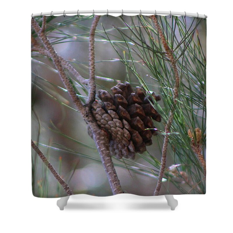 Closeup Shower Curtain featuring the photograph Close Up of Pine Tree Branches and Pinecone in Nevada by Colleen Cornelius