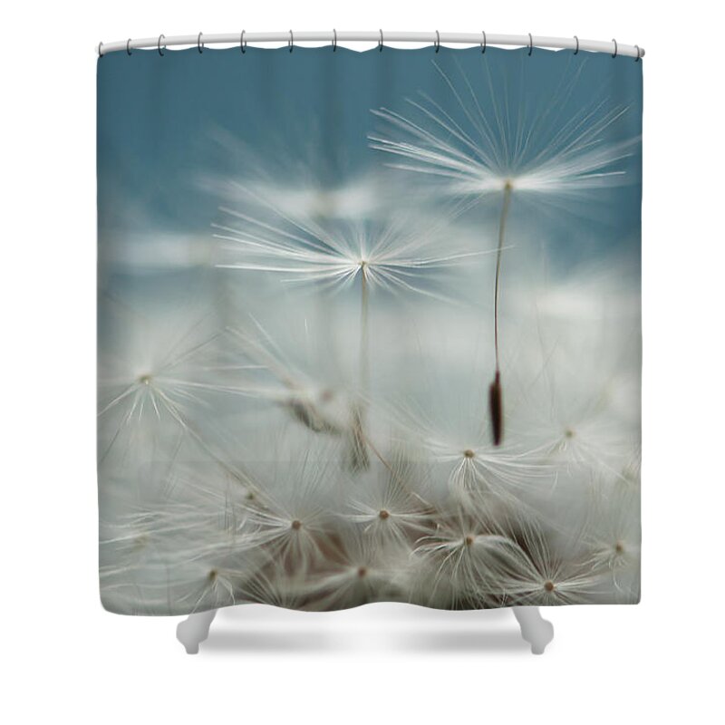 Stilllife Shower Curtain featuring the photograph Close Your Eyes and Make a Wish by Maggie Terlecki