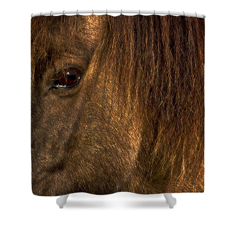 Horse Shower Curtain featuring the photograph Closeup Of An Icelandic Horse #2 by Stuart Litoff