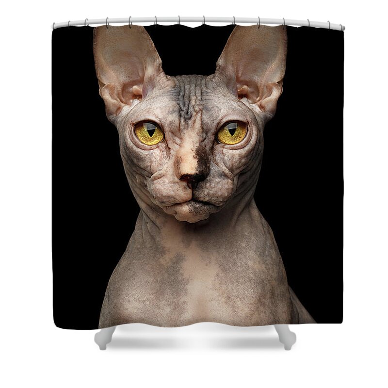 Place Of Interest Shower Curtains