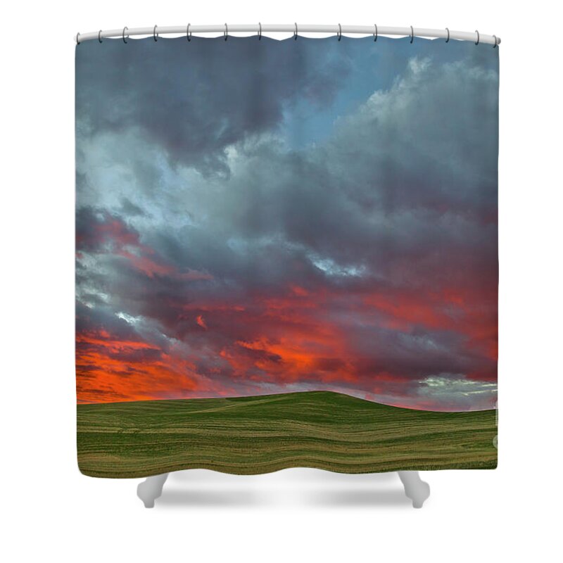 00559269 Shower Curtain featuring the photograph Cloud and Wheat at Sunset by Yva Momatiuk John Eastcott