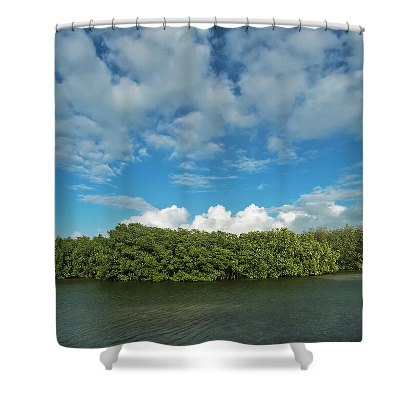 Cloudscape Shower Curtain featuring the photograph Clouds and Mangroves in Key West by Bob Slitzan