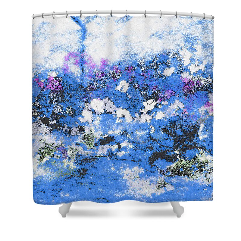  Stone Shower Curtain featuring the photograph Clouds and Blossom by Stephanie Grant