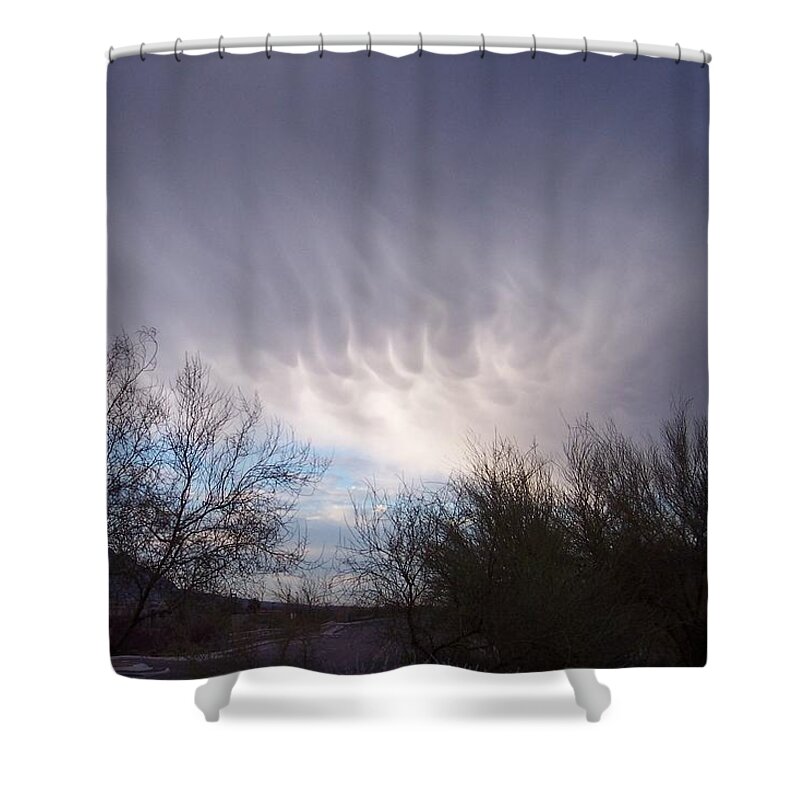 Skyscape Shower Curtain featuring the painting Clouds in desert by Mordecai Colodner