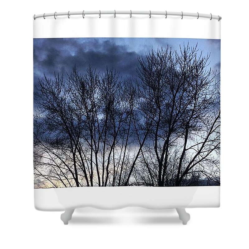 Life Shower Curtain featuring the photograph Clouds Through Trees by Frank J Casella