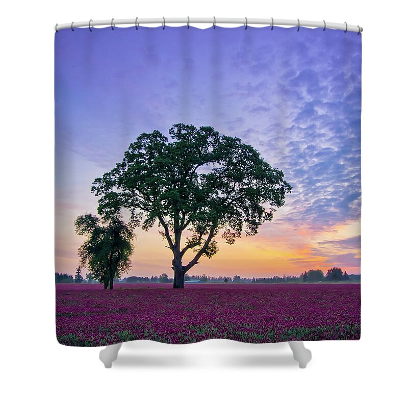 Clover Shower Curtain featuring the photograph Clover Sunrise by Steven Clark