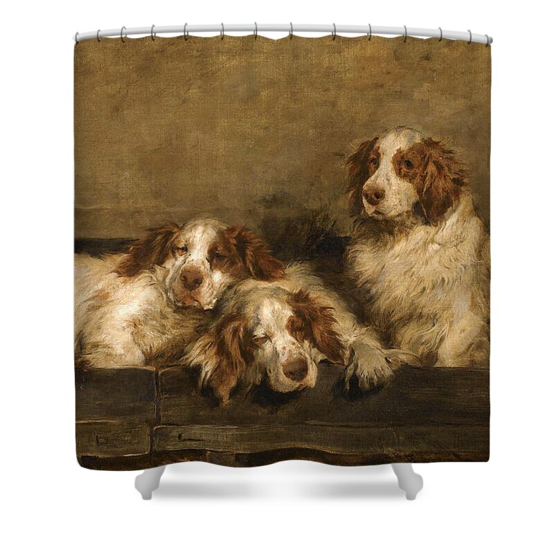 John Emms Shower Curtain featuring the painting Clumber Spaniels in a Kennel by John Emms