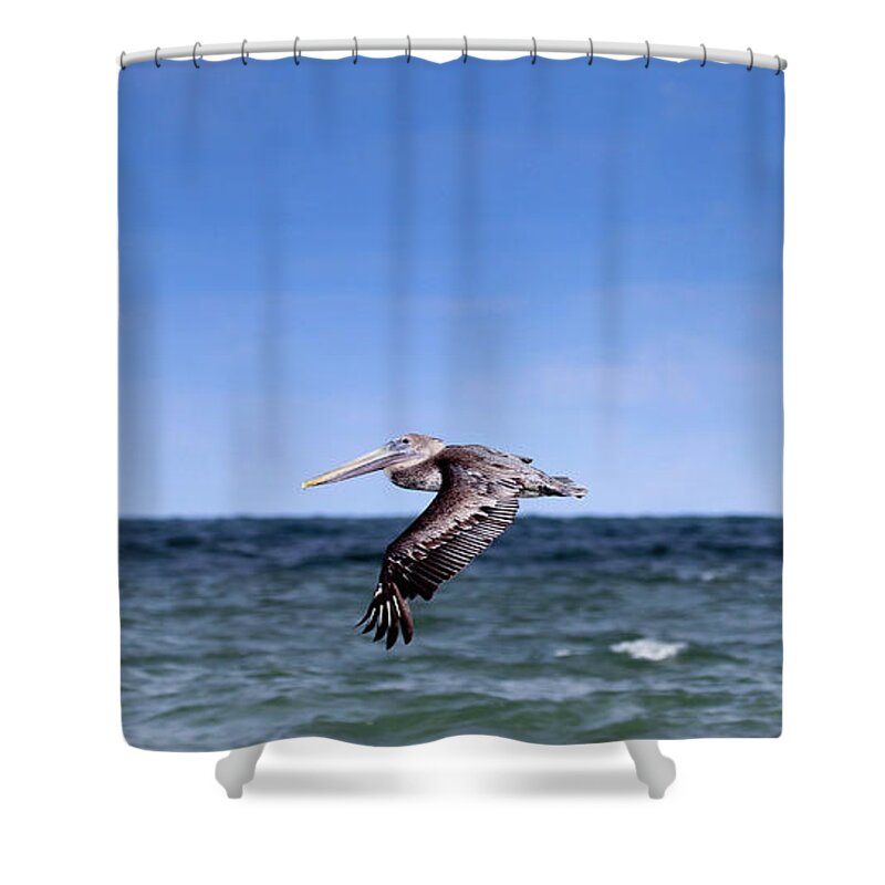 Ocean Shower Curtain featuring the photograph Coastal Flight by Mary Anne Delgado