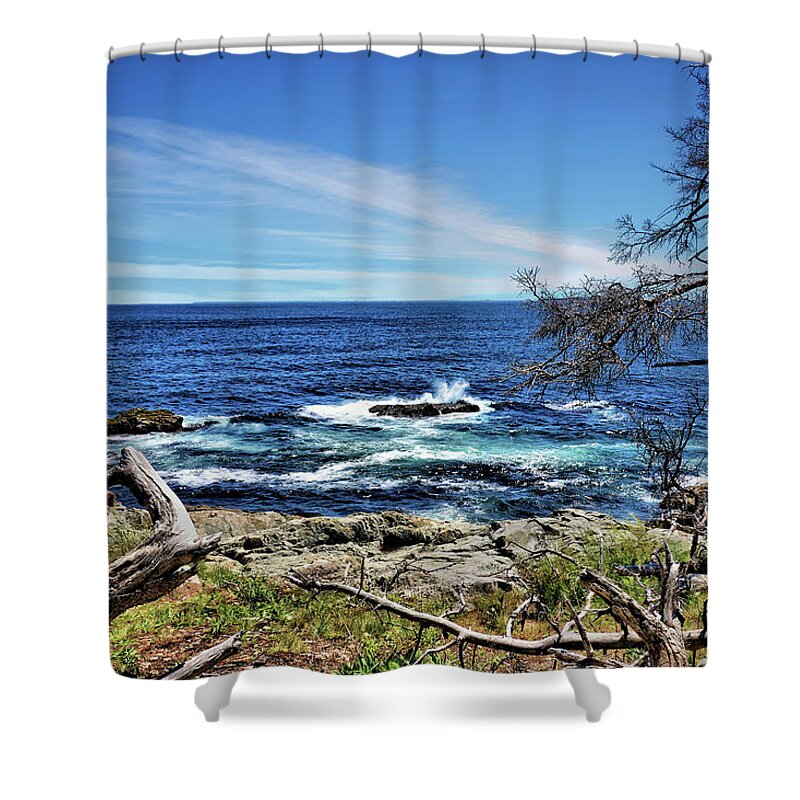 Water Shower Curtain featuring the photograph Coastline at Otter Point 3 by John Trommer