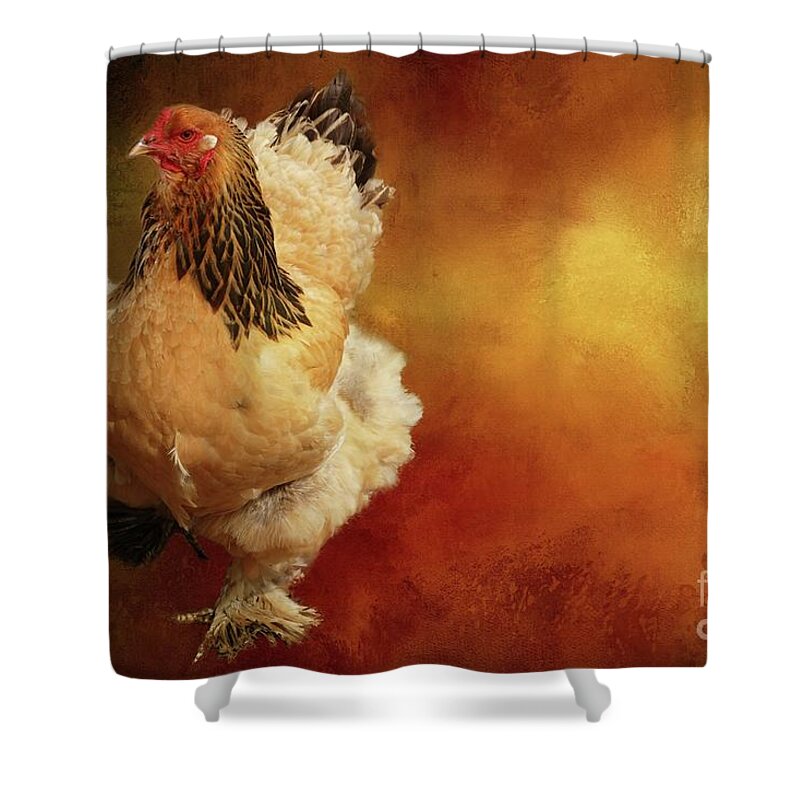 Cochin Chicken Shower Curtain featuring the photograph Cochin Chicken by Eva Lechner