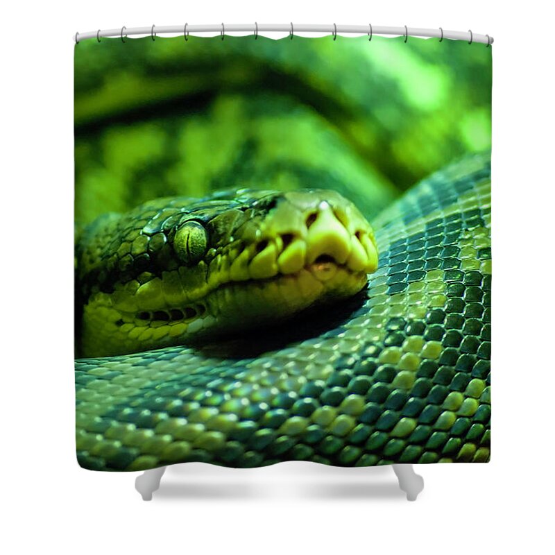 Photography Shower Curtain featuring the photograph Coiled Calm by Kathleen Messmer