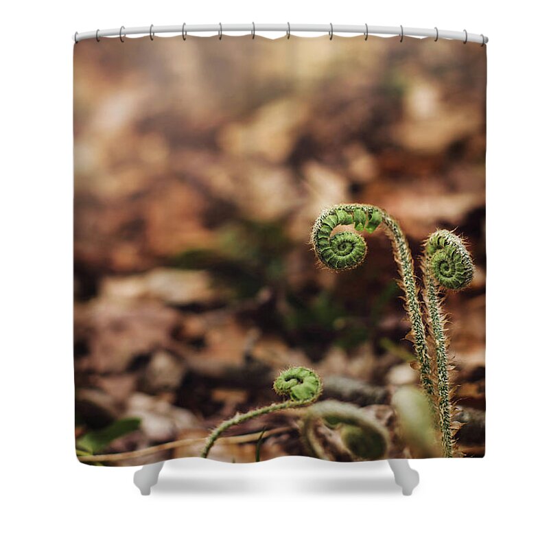 Fern Shower Curtain featuring the photograph Coiled Fern Among Leaves on Forest Floor by Amber Flowers