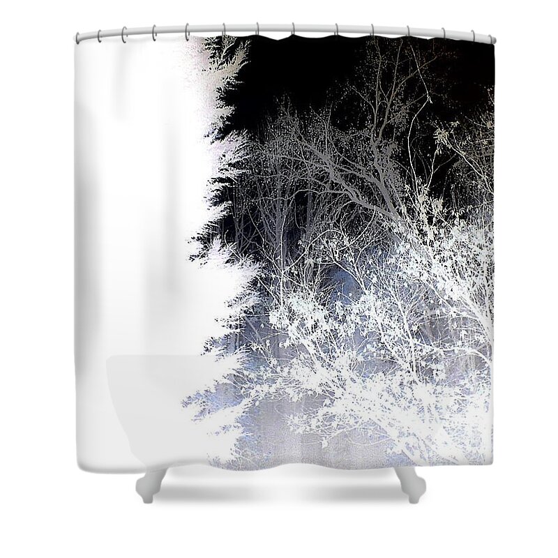 Tree Shower Curtain featuring the photograph Cold And Light Drama by Andy Rhodes