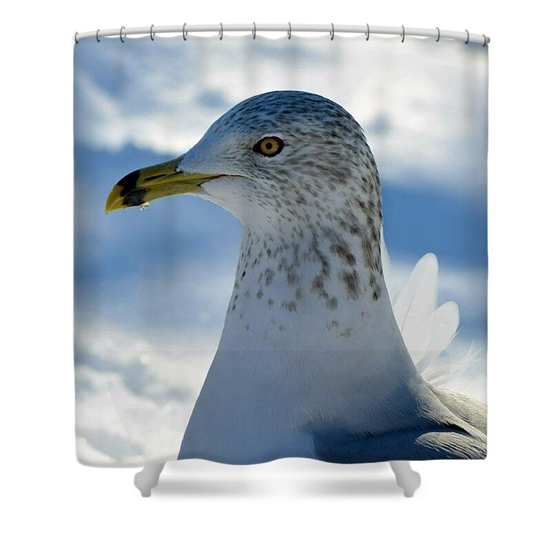 Winter Shower Curtain featuring the photograph It's Cold by Dani McEvoy