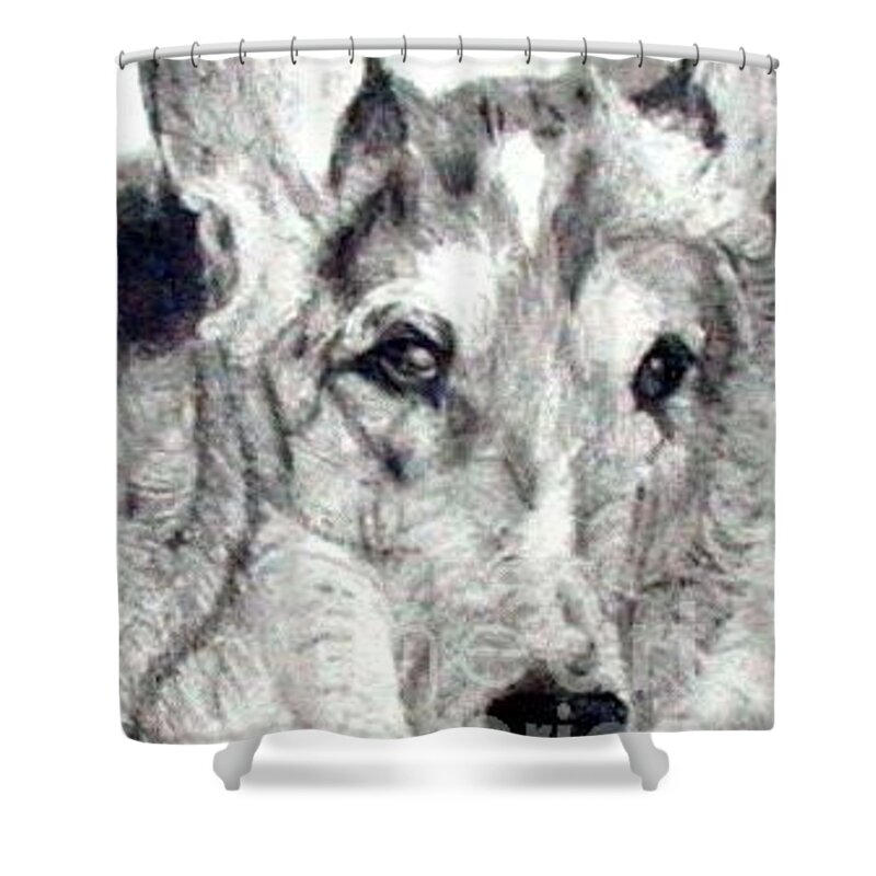 Collie Shower Curtain featuring the painting Collie Smooth Lover by Susan A Becker