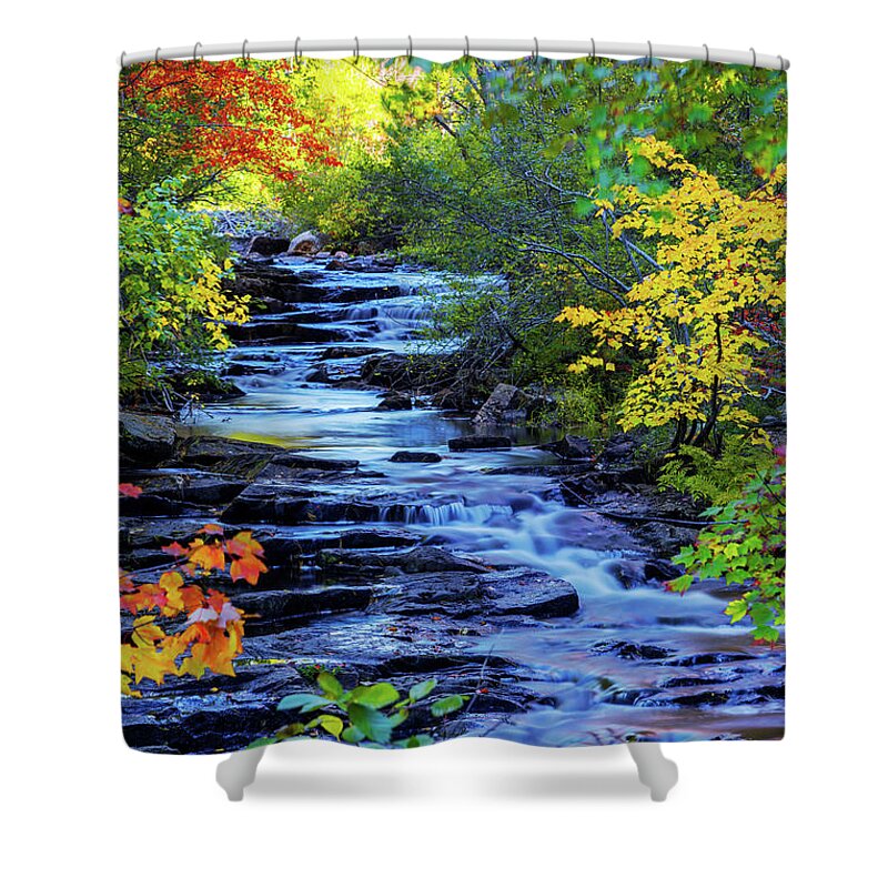 Color Alley Shower Curtain featuring the photograph Color Alley by Chad Dutson