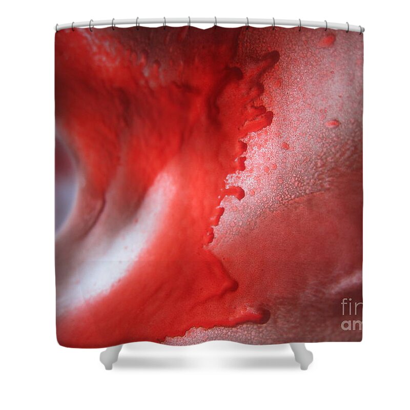 Art Shower Curtain featuring the mixed media Color Expression by Funmi Adeshina