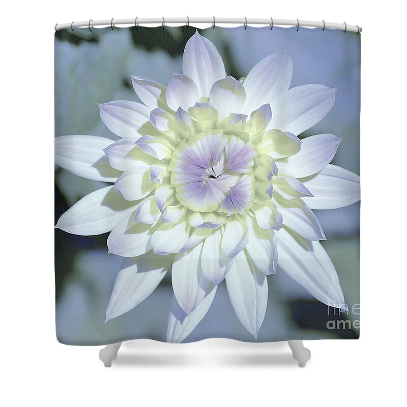 Flowers Shower Curtain featuring the photograph Color Me by Merle Grenz