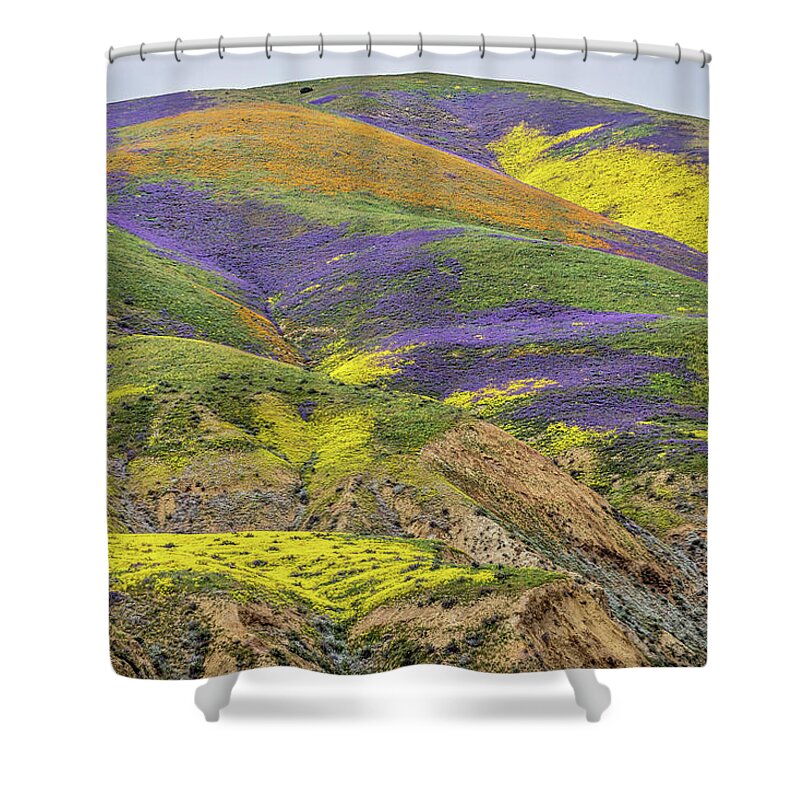 Blm Shower Curtain featuring the photograph Color Mountain II by Peter Tellone